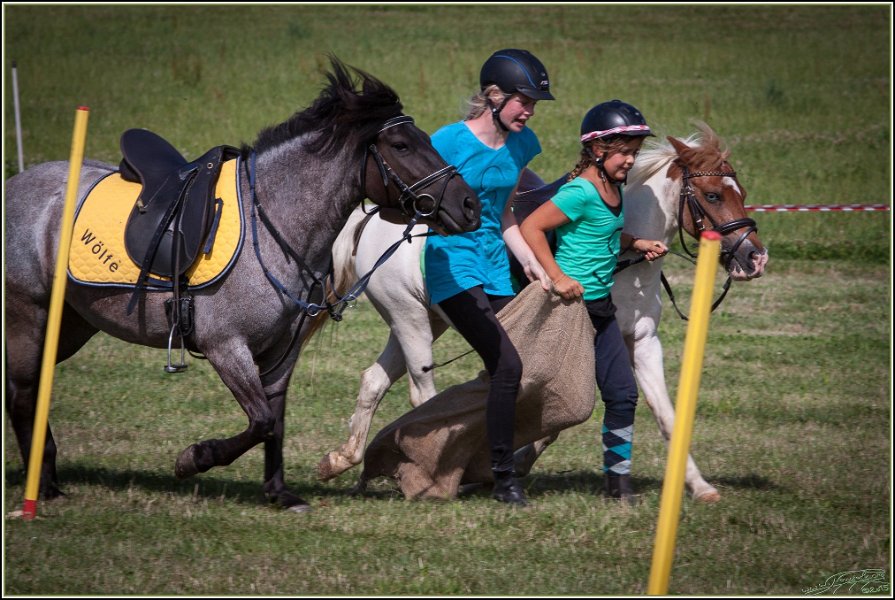 Mounted Games 306